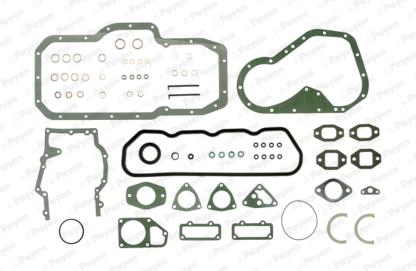 PAYEN Dichtungsvollsatz, Motor GH890