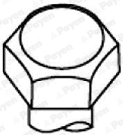 PAYEN Zylinderkopfschraubensatz HBS071