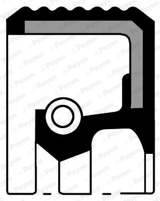 PAYEN Wellendichtring, Differential NA5488