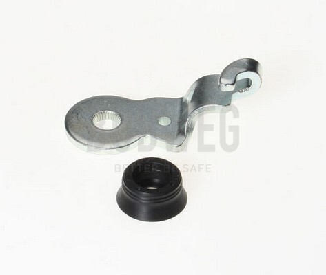 BUDWEG CALIPER Reparatursatz, Feststellbremshebel (Bremssattel) 2099363
