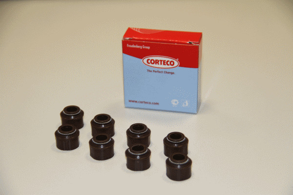CORTECO Dichtungssatz, Ventilschaft 19025685