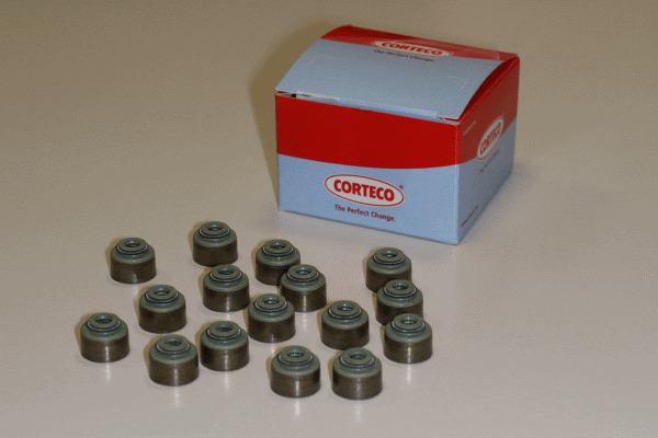 CORTECO Dichtungssatz, Ventilschaft 19036004