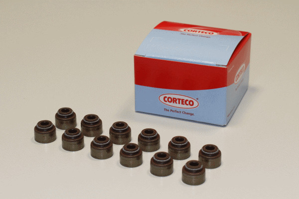 CORTECO Dichtungssatz, Ventilschaft 19036005
