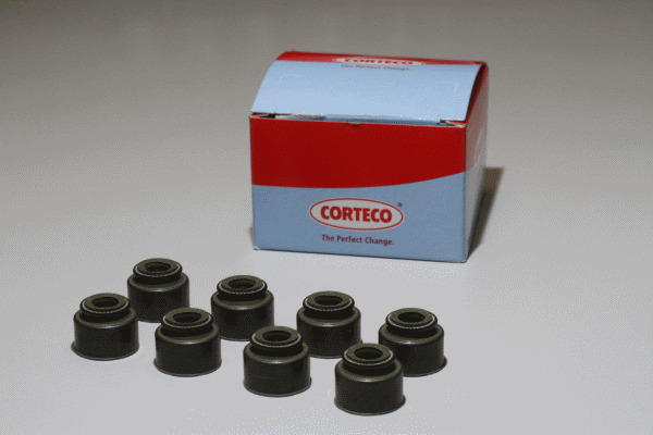 CORTECO Dichtungssatz, Ventilschaft 19036119