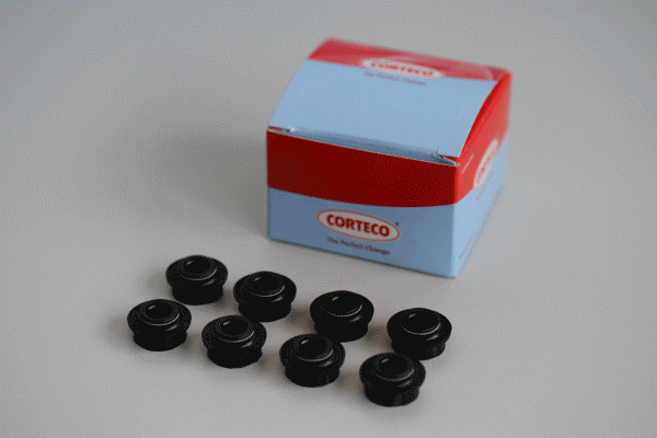 CORTECO Dichtungssatz, Ventilschaft 19036122