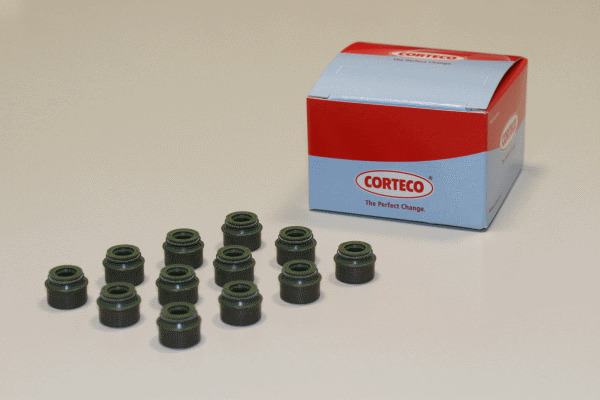 CORTECO Dichtungssatz, Ventilschaft 19036429