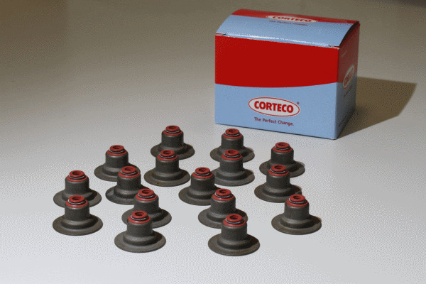 CORTECO Dichtungssatz, Ventilschaft 19036873