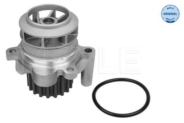 MEYLE Wasserpumpe 113 220 0021