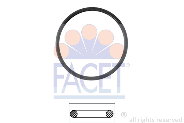 FACET Dichtung, Thermostat 7.9527