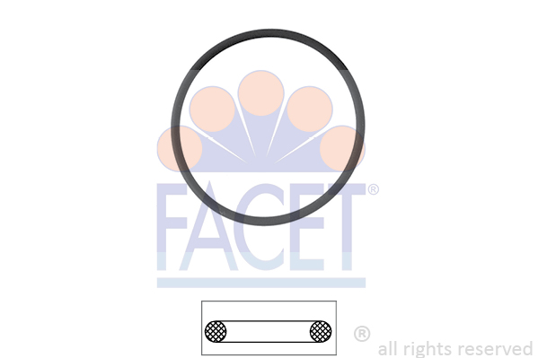 FACET Dichtung, Thermostat 7.9550