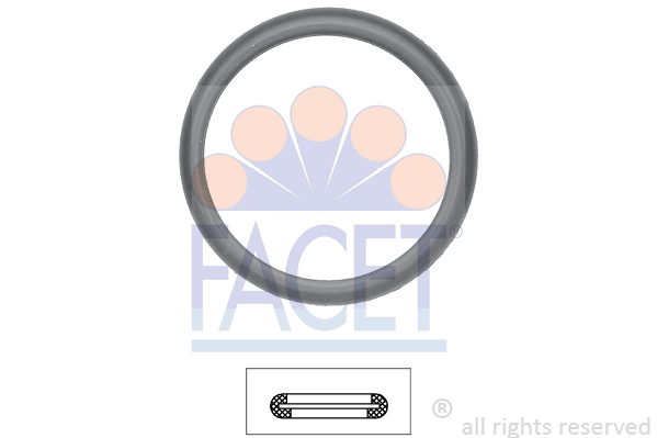 FACET Dichtung, Thermostat 7.9598