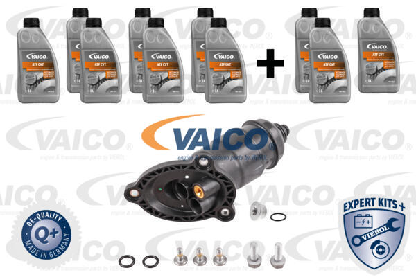 VAICO Teilesatz, Ölwechsel-Automatikgetriebe V10-3231-XXL