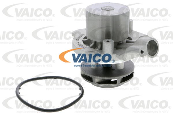 VAICO Wasserpumpe V10-50003