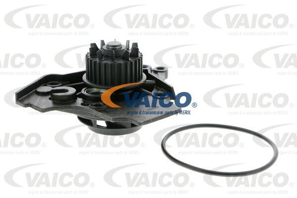 VAICO Wasserpumpe V10-50072