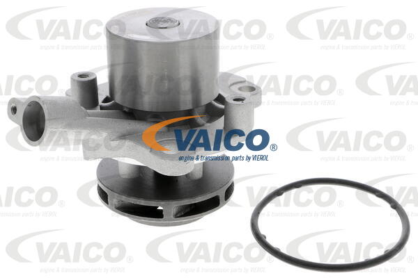 VAICO Wasserpumpe V10-50099