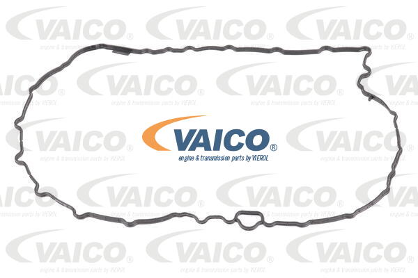 VAICO Dichtung, Ölwanne-Automatikgetriebe V10-5396