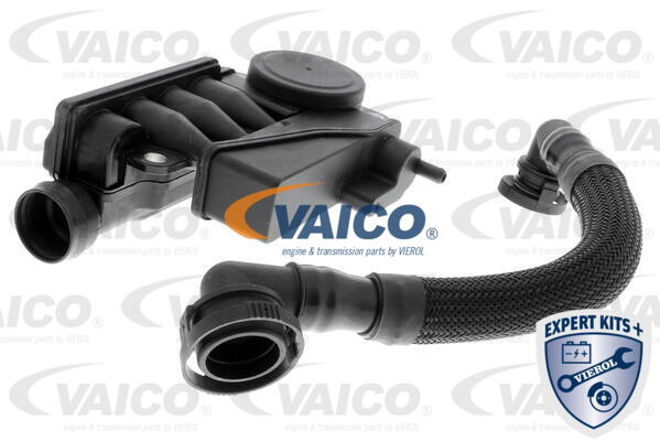 VAICO Reparatursatz, Kurbelgehäuseentlüftung V10-6466
