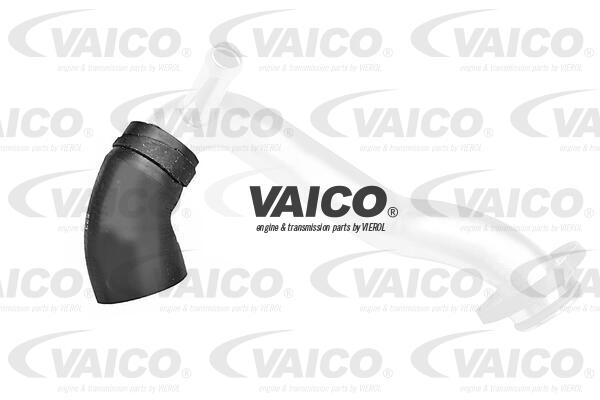 VAICO Kühlerschlauch V20-1258