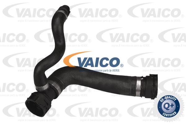 VAICO Kühlerschlauch V20-1289
