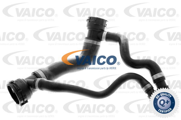 VAICO Kühlerschlauch V20-1308