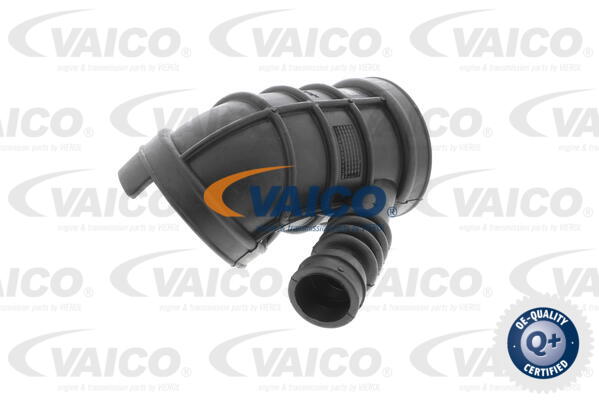 VAICO Ansaugschlauch, Luftfilter V20-1404