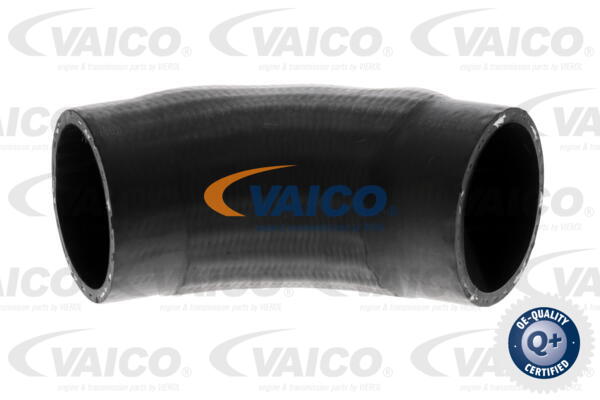 VAICO Ladeluftschlauch V20-1614