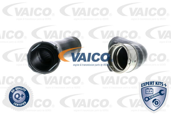 VAICO Ladeluftschlauch V20-1616