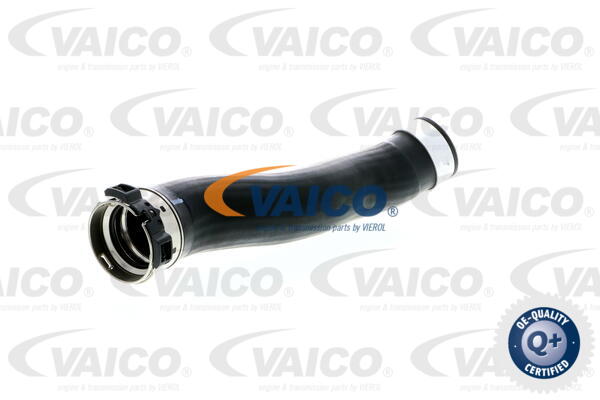 VAICO Ladeluftschlauch V20-1618