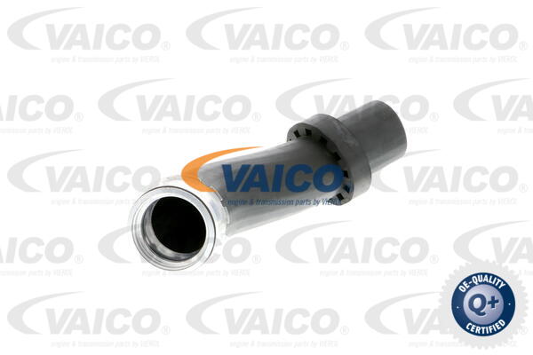 VAICO Ladeluftschlauch V20-1619