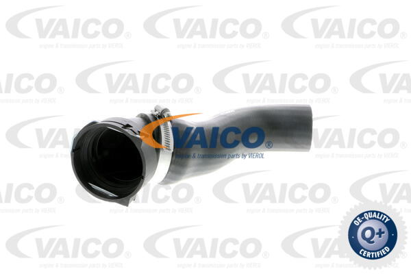 VAICO Ladeluftschlauch V20-1620