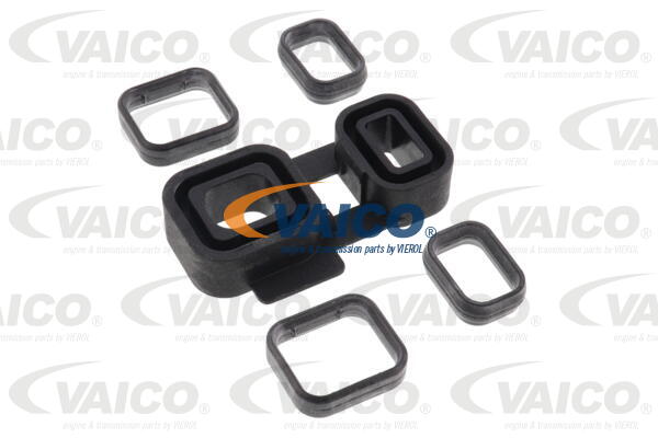 VAICO Dichtung, Automatikgetriebe V20-2646