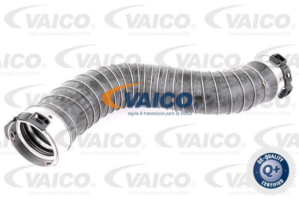 VAICO Ladeluftschlauch V20-2966