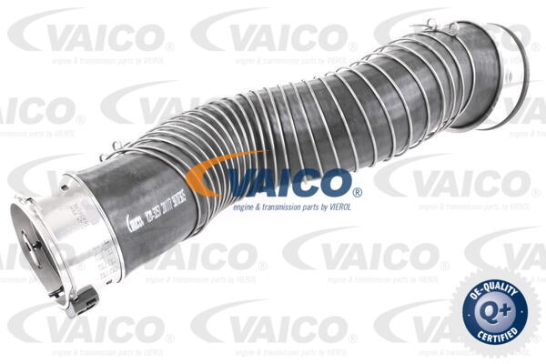 VAICO Ladeluftschlauch V20-3251