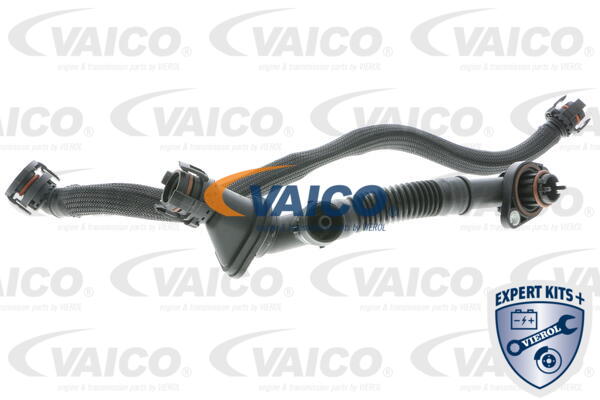 VAICO Reparatursatz, Kurbelgehäuseentlüftung V20-3290
