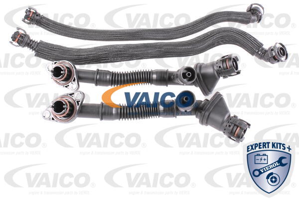 VAICO Reparatursatz, Kurbelgehäuseentlüftung V20-3292
