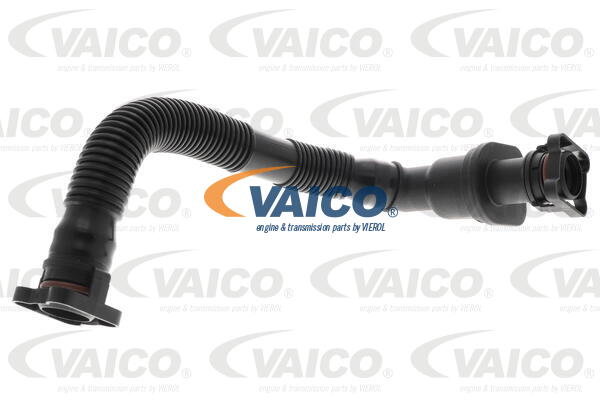 VAICO Schlauch, Kurbelgehäuseentlüftung V20-3576
