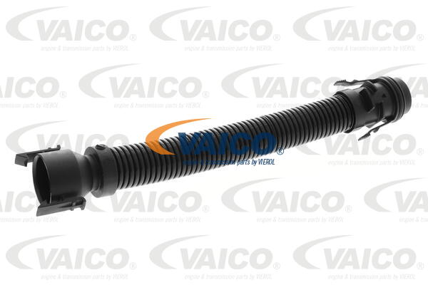 VAICO Schlauch, Kurbelgehäuseentlüftung V20-4019