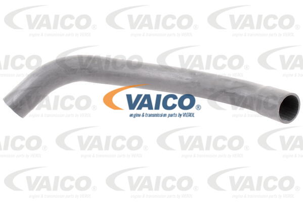 VAICO Ladeluftschlauch V25-0953