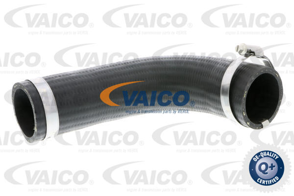 VAICO Ladeluftschlauch V25-0987