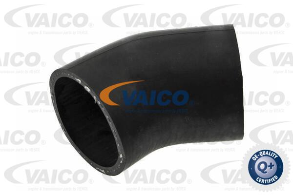 VAICO Ladeluftschlauch V25-1010