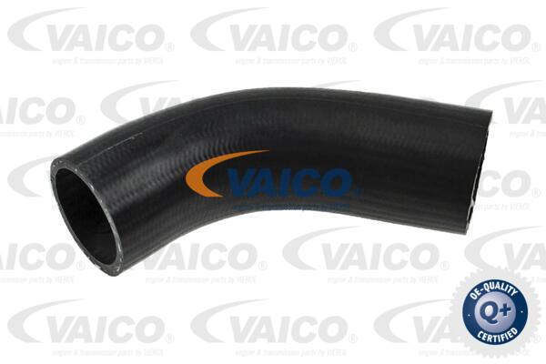 VAICO Ladeluftschlauch V25-1011