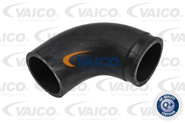 VAICO Ladeluftschlauch V25-1012