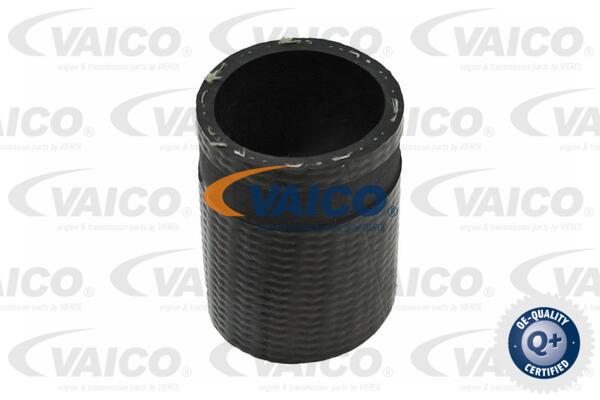 VAICO Ladeluftschlauch V25-1015