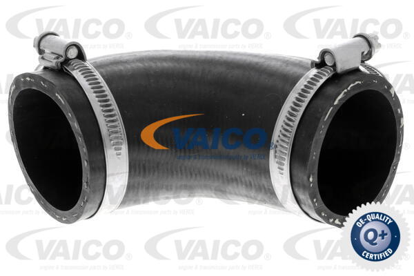 VAICO Ladeluftschlauch V25-1016