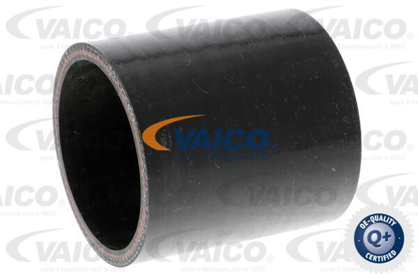VAICO Ladeluftschlauch V25-1019