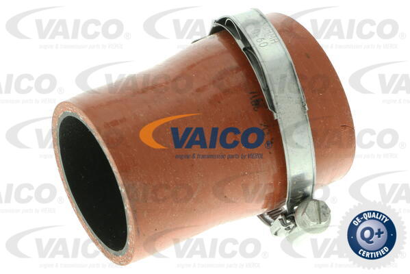 VAICO Ladeluftschlauch V25-1035