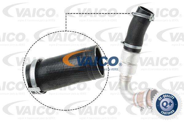 VAICO Ladeluftschlauch V25-1036