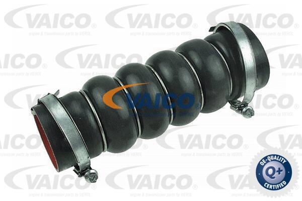 VAICO Ladeluftschlauch V25-1042