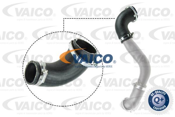 VAICO Ladeluftschlauch V25-1050
