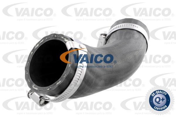 VAICO Ladeluftschlauch V25-1051